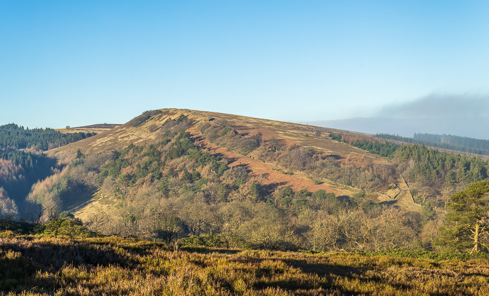 Foxlow Edge Foxlow Edge